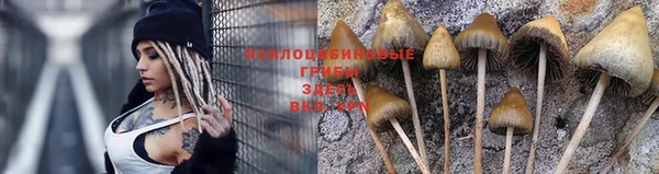 мяу мяу кристалл Дмитровск