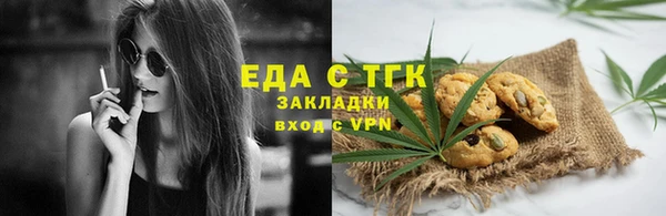 индика Алзамай
