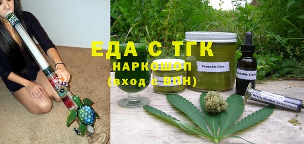 индика Алзамай