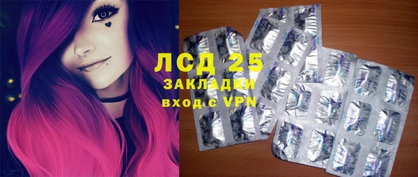 индика Алзамай