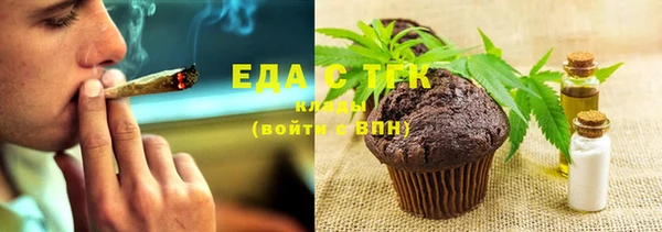 индика Алзамай