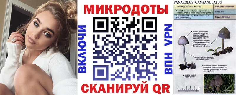 что такое   Юрьев-Польский  Псилоцибиновые грибы MAGIC MUSHROOMS 